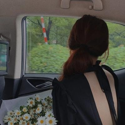 凤舞花飞