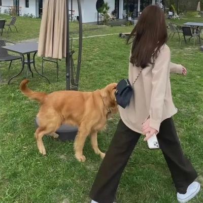 天网记